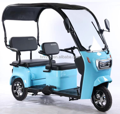 2024 Volwassenen vracht Elektrische driewieler Motorfiets Driewieler Elektrische driewieler Driewieler Eénwieler Bruto Gewicht 75.000 kg
