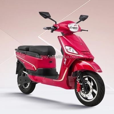 48v 60v 1000w Elektrische motorfiets Motorfiets 2 personen Elektrische bromfiets Scooters Batterij Loodzuur 60/72v20ah Lithiumbatterij 60v30ah