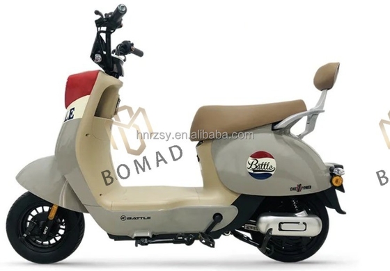 Volwassenen Elektrische Motorfiets 48v 350w Elektrische fiets met Down Tube Battery Position en LEAD-ACID BATTERY