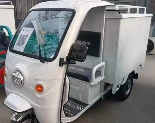 Elektrische vracht driewieler 7-9 uur laadtijd 15-20° Kwaliteit