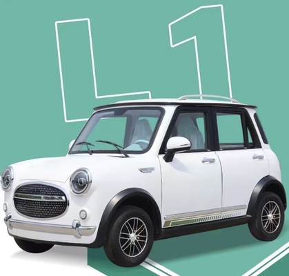3000w vierwielig elektrisch voertuig De toekomst van duurzaam vervoer met 300 km uithoudingsvermogen