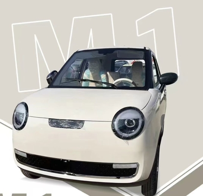 2024 Chinese elektrische auto's gaan kleine elektrische auto's produceren