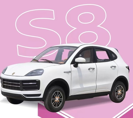 2024 Chinese elektrische auto's gaan kleine elektrische auto's produceren