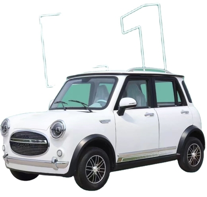 3000W elektrische vierwielige auto De perfecte combinatie van kracht en duurzaamheid