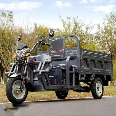801-1000W driewiel elektrische driewiel elektrische scooter voor volwassenen, bestuurd door alle buis type controller