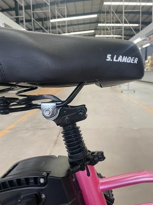 Goedkope elektrische fietsen voor volwassenen Laadtijd 3 uur Bandbreedte 20*2.8 Gunstig