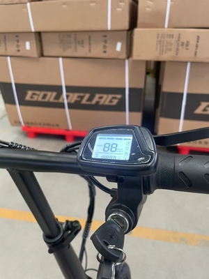 Goedkope elektrische fietsen voor volwassenen Laadtijd 3 uur Bandbreedte 20*2.8 Gunstig