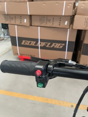 Goedkope elektrische fietsen voor volwassenen Laadtijd 3 uur Bandbreedte 20*2.8 Gunstig