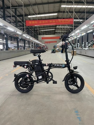3000W Travel Electric Motor Car met automatisch rijgedrag en 48V spanning bij warm