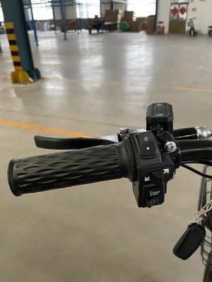 20 inch band all-terrain elektrisch rijden met 48V spanning en 13Ah batterij koppel 50-60 Nm