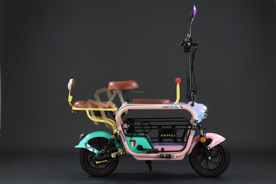 Compacte elektrische fiets met lithiumbatterij en snelle oplaadtijd