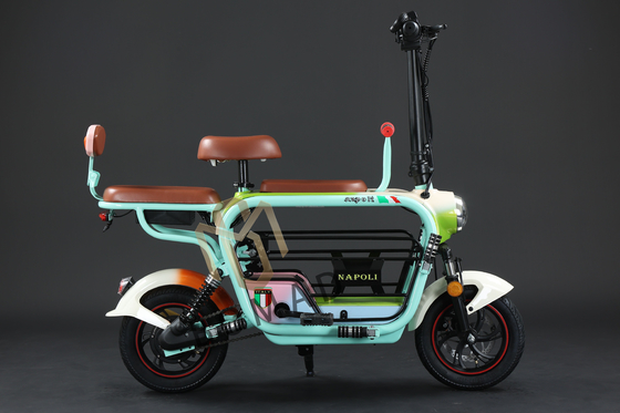 Compacte elektrische fiets met lithiumbatterij en snelle oplaadtijd