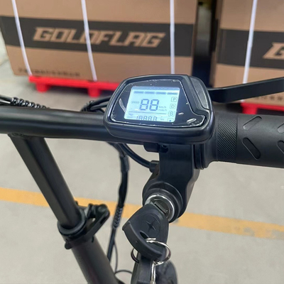 18 versnellingsbakken en 13,4 Ah batterijcapaciteit Stedelijk vervoer Elektrische fietsen voor comfortabel woon-werkverkeer