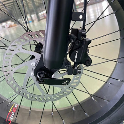 Geïntegreerde batterij Berg elektrisch zelfrijdend 15A Elektrische motor Sneeuwwiel 750W Mountain Off-Road Bike