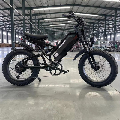 Elektriciteit Verhoogde 20 inch Mountain Electric Bike met 18 versnellingen en 50-60 Nm koppel