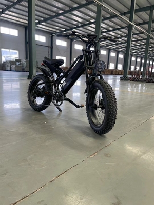 Elektriciteit Verhoogde 20 inch Mountain Electric Bike met 18 versnellingen en 50-60 Nm koppel