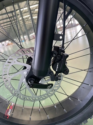 Elektriciteit Verhoogde 20 inch Mountain Electric Bike met 18 versnellingen en 50-60 Nm koppel