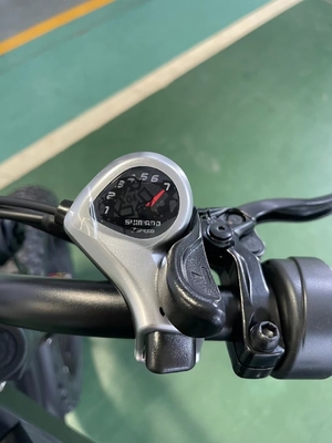 Elektriciteit Verhoogde 20 inch Mountain Electric Bike met 18 versnellingen en 50-60 Nm koppel