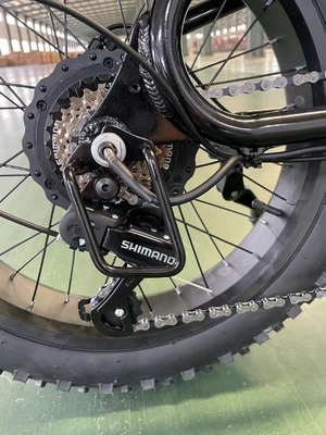 Elektriciteit Verhoogde 20 inch Mountain Electric Bike met 18 versnellingen en 50-60 Nm koppel