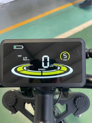 Elektriciteit Verhoogde 20 inch Mountain Electric Bike met 18 versnellingen en 50-60 Nm koppel