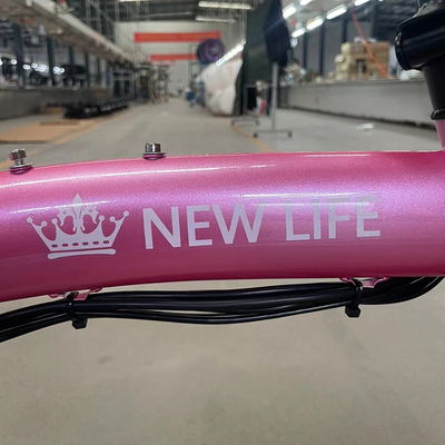 36v opslagbatterij Volwassenen vouwbare elektrische fiets met achterhoekmotor en compact ontwerp