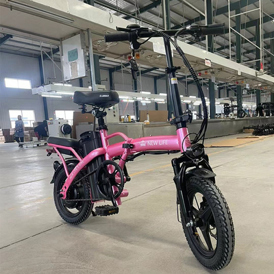36v opslagbatterij Volwassenen vouwbare elektrische fiets met achterhoekmotor en compact ontwerp