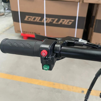 36v opslagbatterij Volwassenen vouwbare elektrische fiets met achterhoekmotor en compact ontwerp