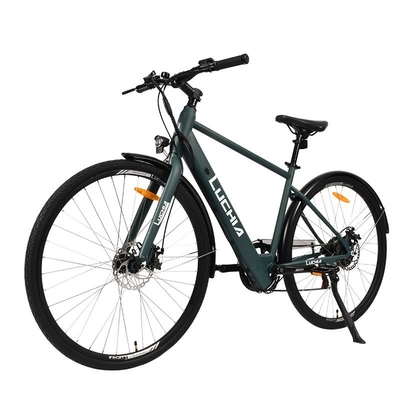 Krachtige elektrische stadsfiets met 350w motor en 48v 15ah batterij