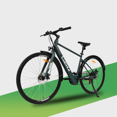 Krachtige elektrische stadsfiets met 350w motor en 48v 15ah batterij