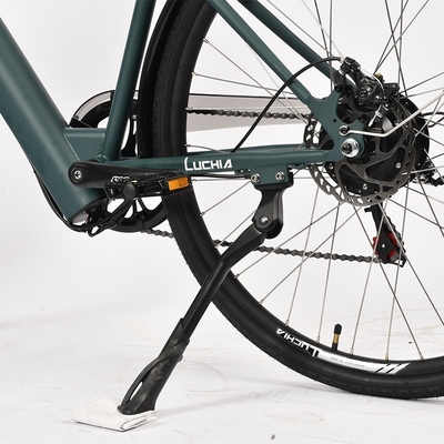 Krachtige elektrische stadsfiets met 350w motor en 48v 15ah batterij