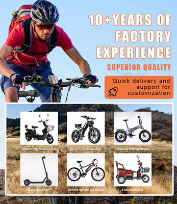 City Electric E Bike 2024 250w 36v Carbon Belt DriveEbike voor stedelijk gebruik