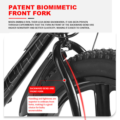 2024 Mountain Bike Big Tire Elektrische fiets met 11 ah batterijcapaciteit en achterwiel schijfrem