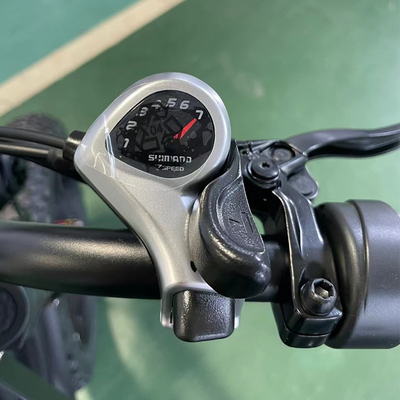 14 inch 2024 Electric Mountain Bike Fiets 48v 500w Batterijcapaciteit 15.6Ah met krachtige schijfrem en achterwiel
