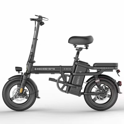 2024 Speed Electric Scooter Rijdt 50 Km Ebike Elektrische fiets met 48V Down Tube Battery Performance