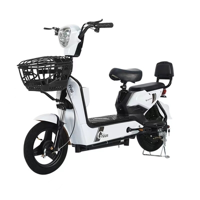 Elektrische stadsfiets Max Load 200kg Laadtijd 3 uur Stad elektrische fiets E fiets