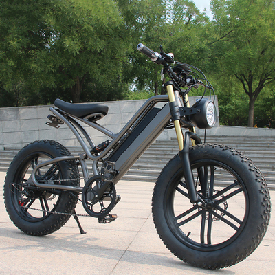 Krachtige 250w elektrische fietsen Volwassenen Bergfiets Elektrisch fiets met achterwiel schijfrem