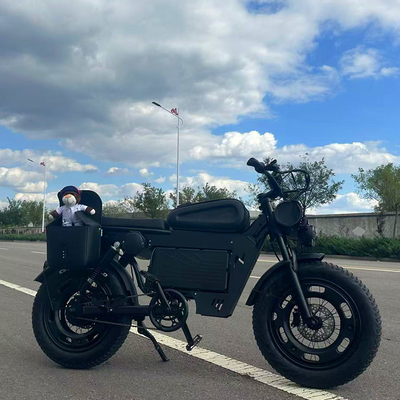 20&quot; Wheel Electric Bike Scooter met 1000KW Power Langdurige Lithiumbatterij
