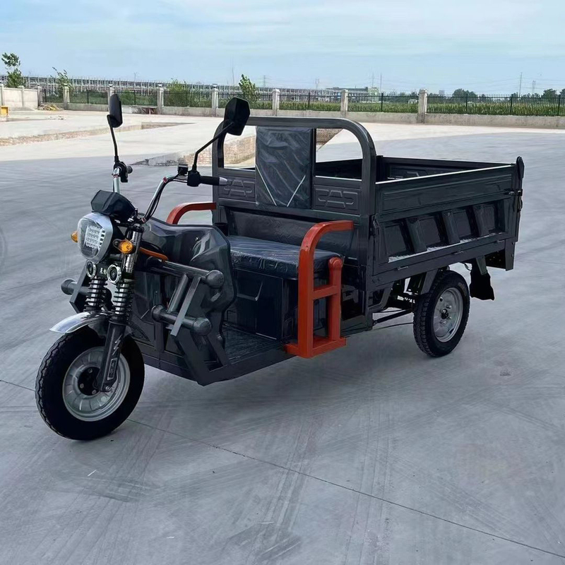 801-1000W driewiel elektrische driewiel elektrische scooter voor volwassenen, bestuurd door alle buis type controller