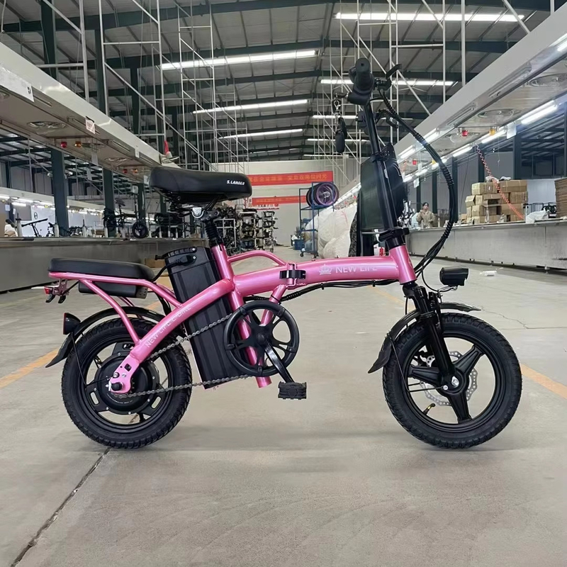 Goedkope elektrische fietsen voor volwassenen Laadtijd 3 uur Bandbreedte 20*2.8 Gunstig