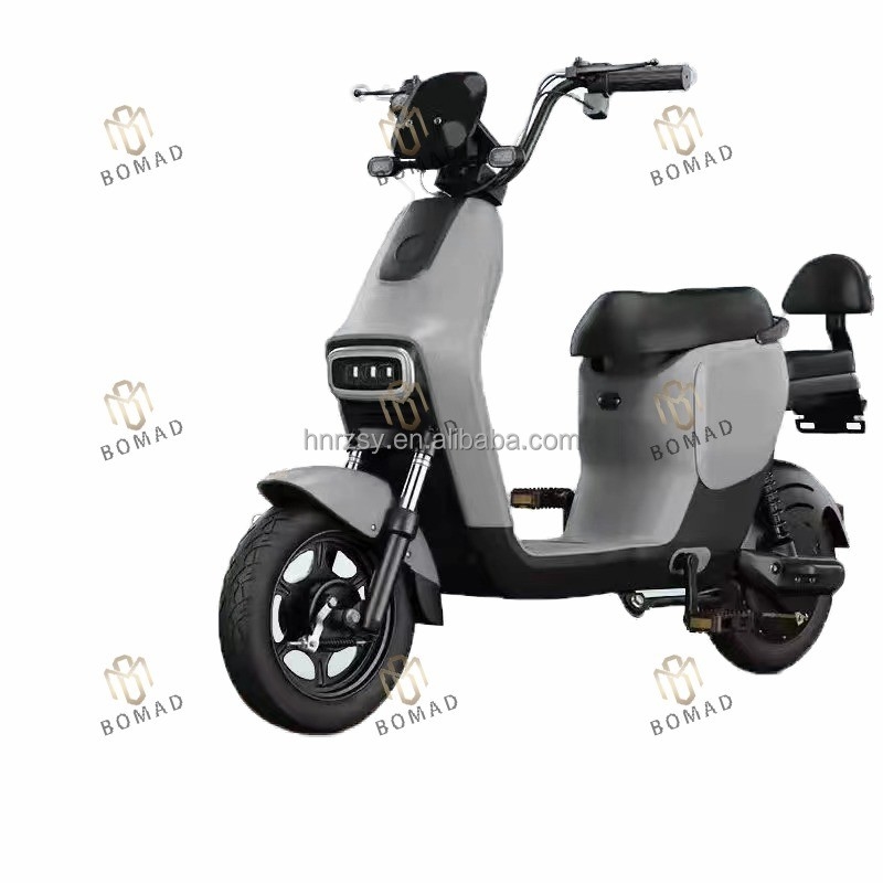 48V High Power Electric Motorcycle Sport Electric Moped Cargo Elektrische motorfietsen voor en gemakkelijk vervoer