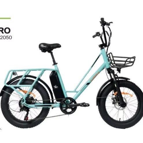 18 versnellingsbakken Kettinggesloten stadsvriendelijke elektrische fiets met geïntegreerde batterij en krachtpedaal