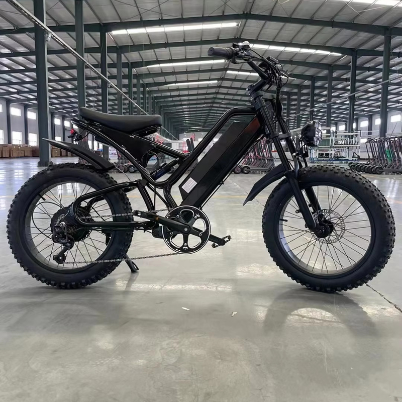 Elektriciteit Verhoogde 20 inch Mountain Electric Bike met 18 versnellingen en 50-60 Nm koppel