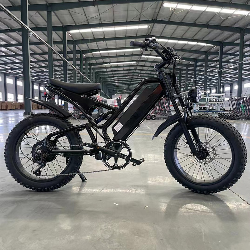 26&quot; 27.5' 29' 2024 750w 48v Fast Speed 60km/H Electric City Fat Tire Hybrid Bike Ebike Electric Mountain Dirt E Bike voor volwassenen