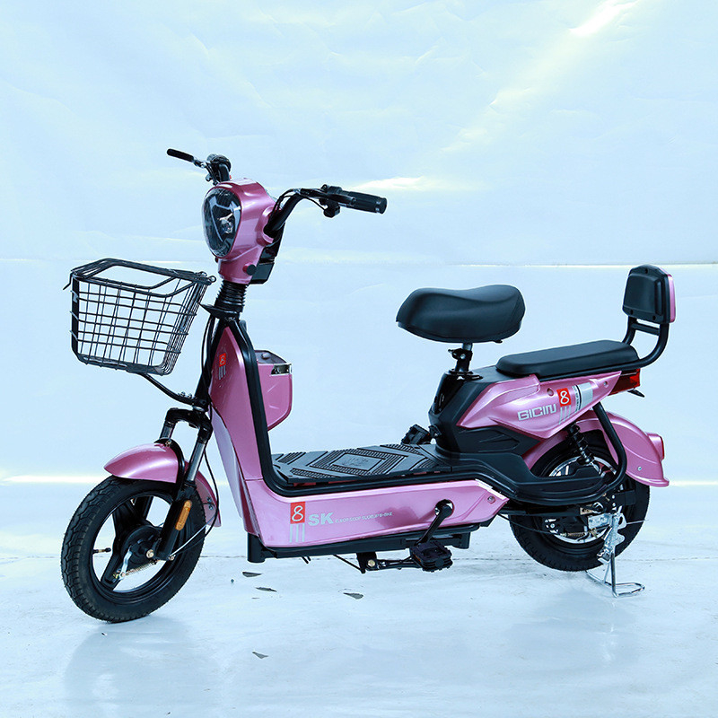 Aluminium frame diverse E Cycle Electric Pit Bike E-Bike met 48V Spanning