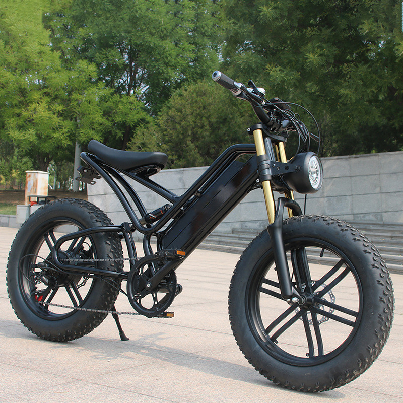 48v 750w 1000w Electrique Full Suspension Ebike E Bike Hybrid Electric Dirt Mountain Bike met maximale snelheid 30-50Km/h